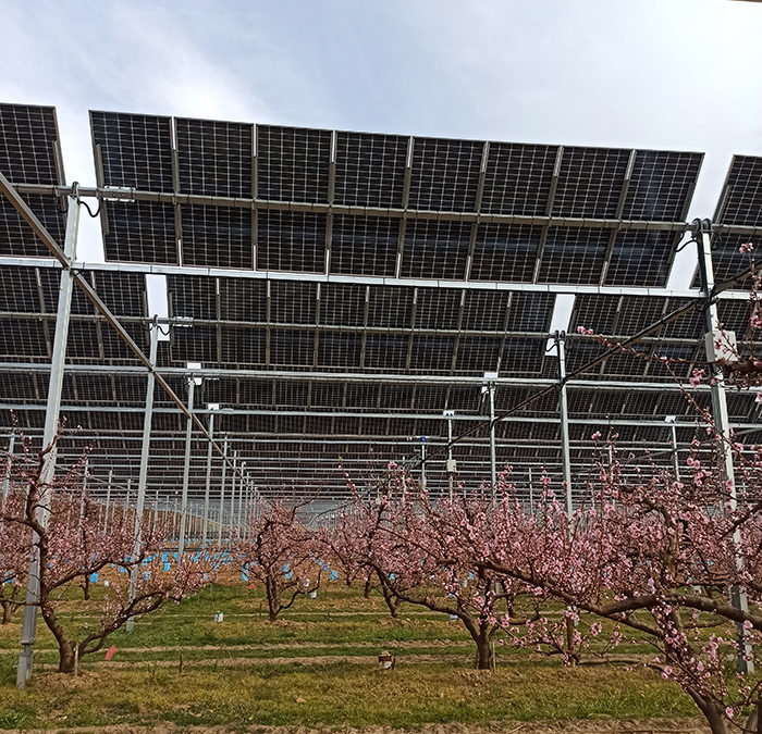 Photovoltaïque bifacial et TriFactors, un outil de modélisation et simulation des nouvelles centrales