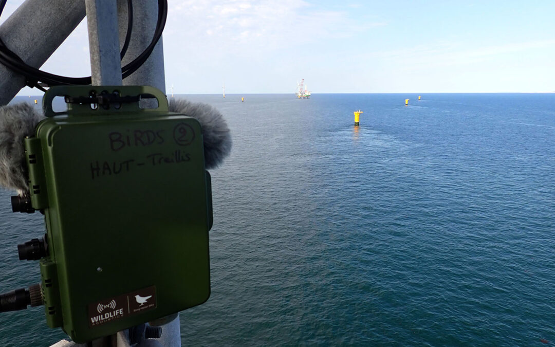 DRACCAR, la 1ère plateforme française  de recherche en mer dédiée à l’éolien offshore